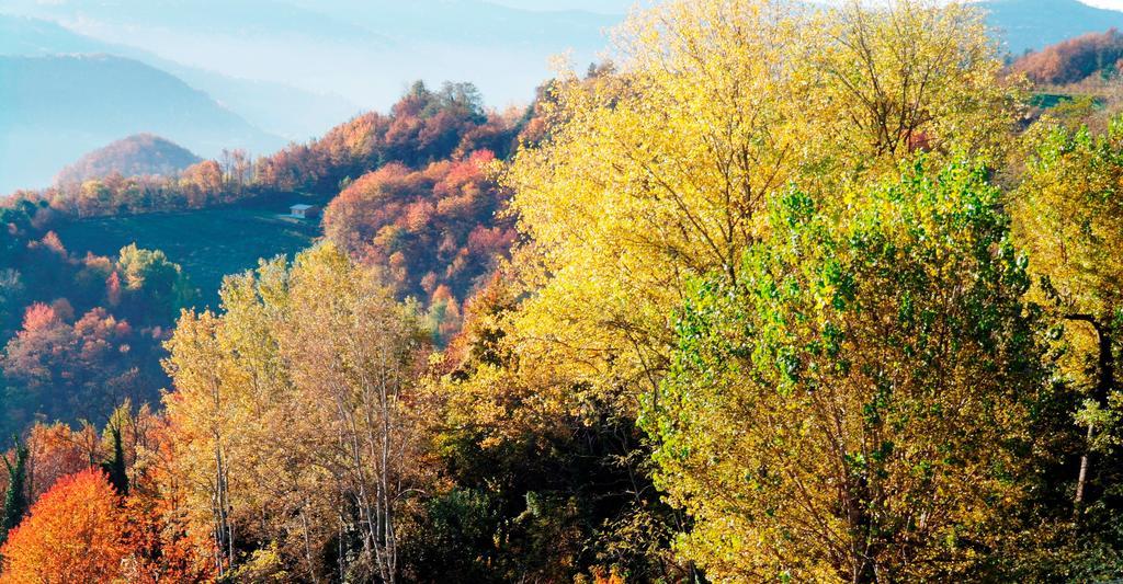 Borgo San Rocco Piemonte Apartment Castino Luaran gambar